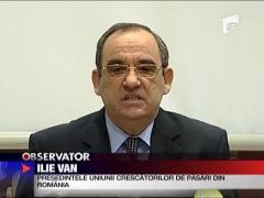 Au scazut vanzarile de oua din cauza acuzatiilor ca gainile sunt stresate