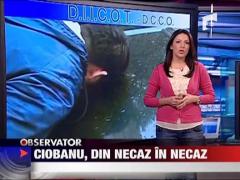 Razvan Ciobanu, de la faliment la droguri