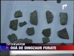 Vindeau oua de dinosaur furate
