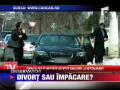 Divort sau impacare in familia Nastase?