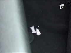 Senzatii tari la volan