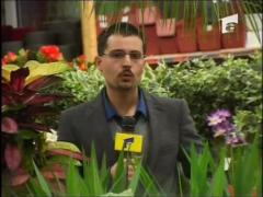 Scandalul substantelor etnobotanice se reaprinde