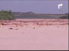 A invins apele involburate