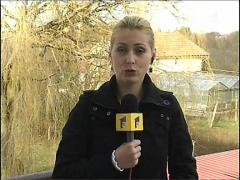 Politia, calcata de hoti