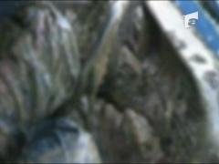 Gasit mort in Dunare