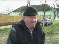 Dragoste pentru caini