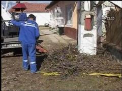 Cuiburi pentru berze