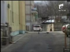 Falsificatori prinsi