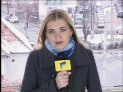 Caini maidanezi adoptati