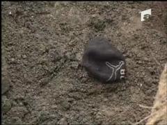 Ucis de un mal de pamant