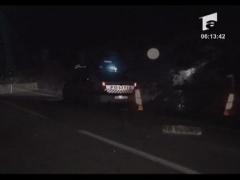 A cazut in rugii de mure