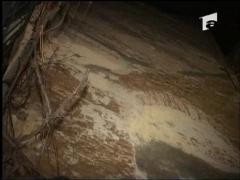 Viscol si troiene in martie