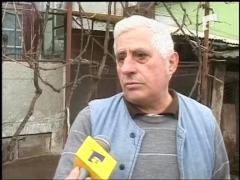 Lege impotriva animalelor de companie la Cluj