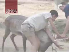 Ingrijitor impuns de ren - IMAGINI SOCANTE