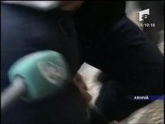 S-a mai gasit o arma din lotul Ciorogarla