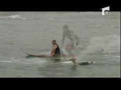 Dragoste pentru animale