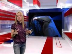 Iri cu un cadou special