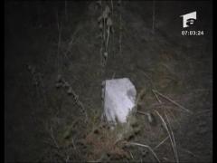 Un batran a scapat cu viata dupa ce a cazut cu masina in rapa