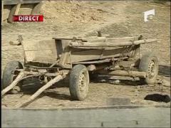 Cadouri pentru cei izolati de lume