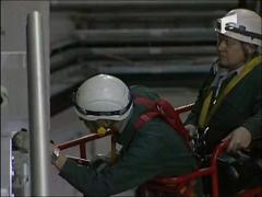 Acceleratorul de particule va fi repornit