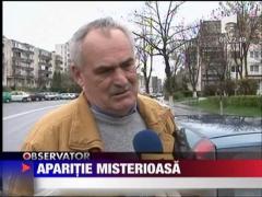 Flori in forma de cruce