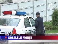 Cal lovit de masina pe autostrada