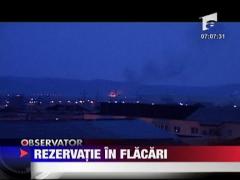 Rezervatie in flacari