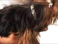 Celia si Bianca si-au imprietenit cainii