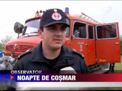 Noapte de cosmar pentru un cal