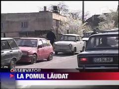 La pomul laudat... s-au dus la REMAT