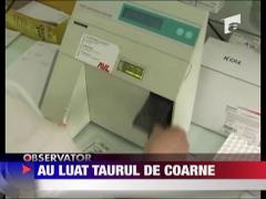 Medicii au luat taurul de coarne