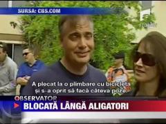 Blocata langa aligatori