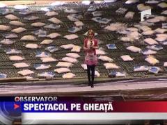 Spectacol pe gheata