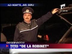 Hoti de titei prinsi de politie