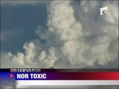 Norul de cenusa e toxic