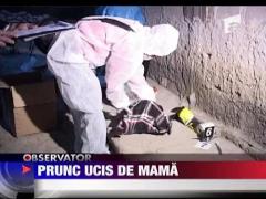 Prunc ucis de mama