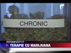 Terapie cu marijuana