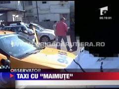 Taxi cu "maimute"