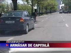 Un cal a bulversat astazi circulatia in Capitala