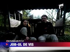 Job-ul de vis