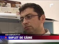 Un copil de 14 ani din Arges a dat dovada de o cruzime incredibila