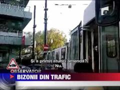 Bizonii din trafic