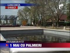 1 Mai cu palmieri