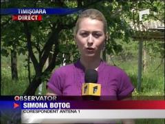 Grenada defensiva in tomberon