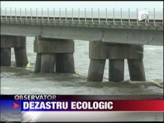 Dezastru ecologic pe apele Golfului Mexic