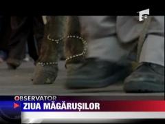 Mexicanii sarbatoresc ziua magarusului