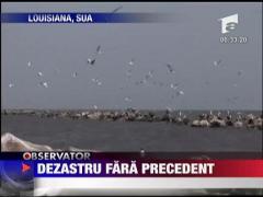 Dezastru fara precedent