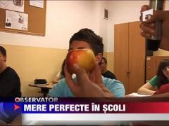 Merele injectate din import ar putea ajunge la elevi