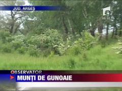 Munti de gunoaie