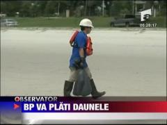BP va plati daunele
